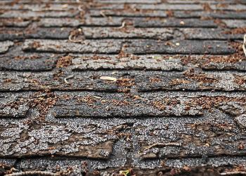 Advanced Roofing Co Inc. Images